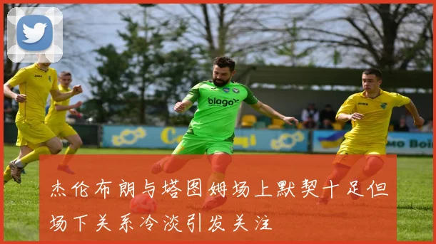 杰伦布朗与塔图姆场上默契十足但场下关系冷淡引发关注
